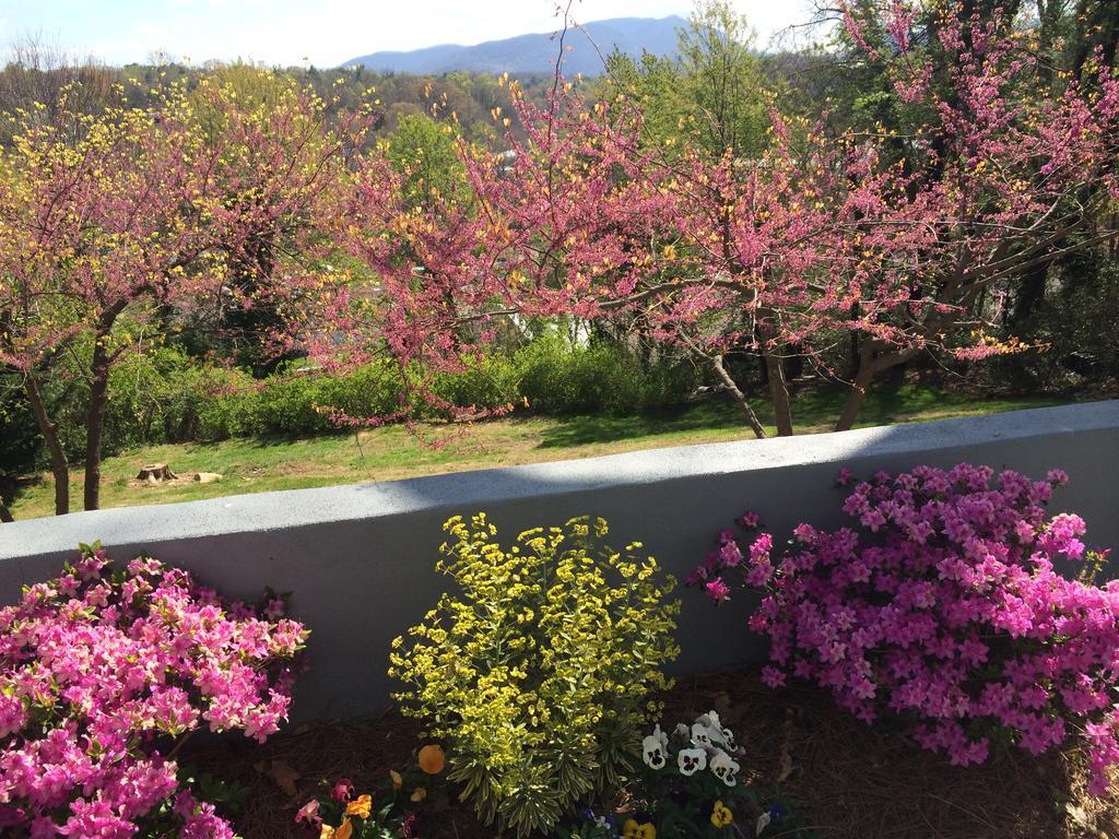 Biltmore Village Inn B&B Asheville Buitenkant foto