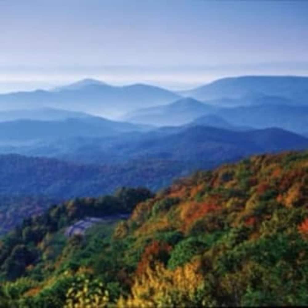 Biltmore Village Inn B&B Asheville Buitenkant foto