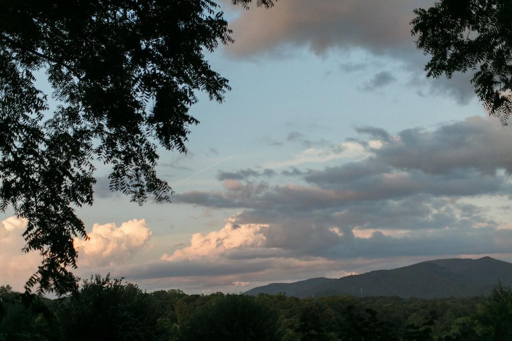 Biltmore Village Inn B&B Asheville Buitenkant foto